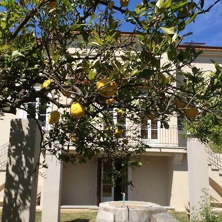 סאפרי Villa Caterina מראה חיצוני תמונה